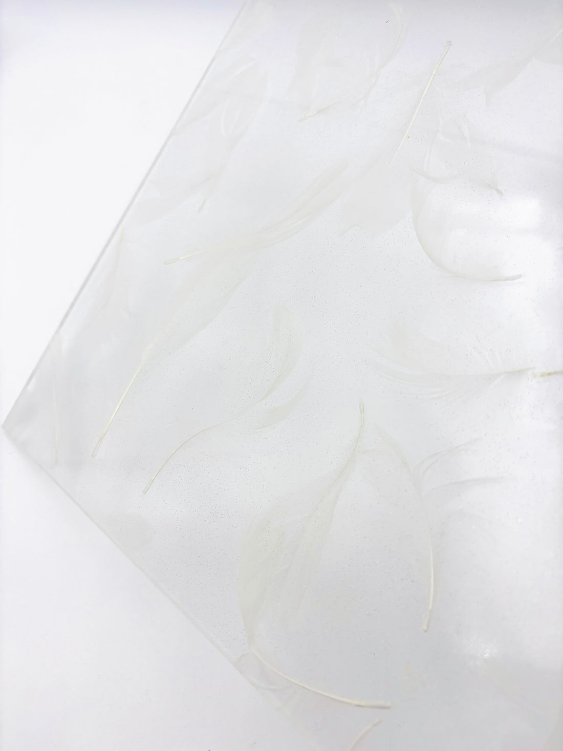 Pattern Acrylic Sheet - Feathers