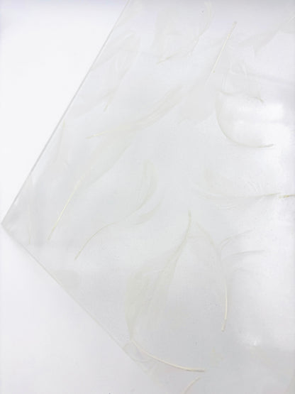 Pattern Acrylic Sheet - Feathers