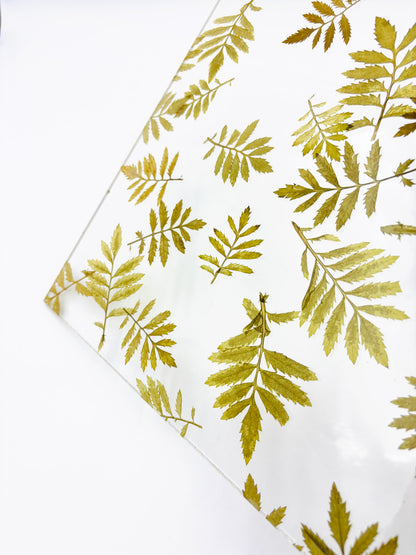Pattern Acrylic Sheet - Fern