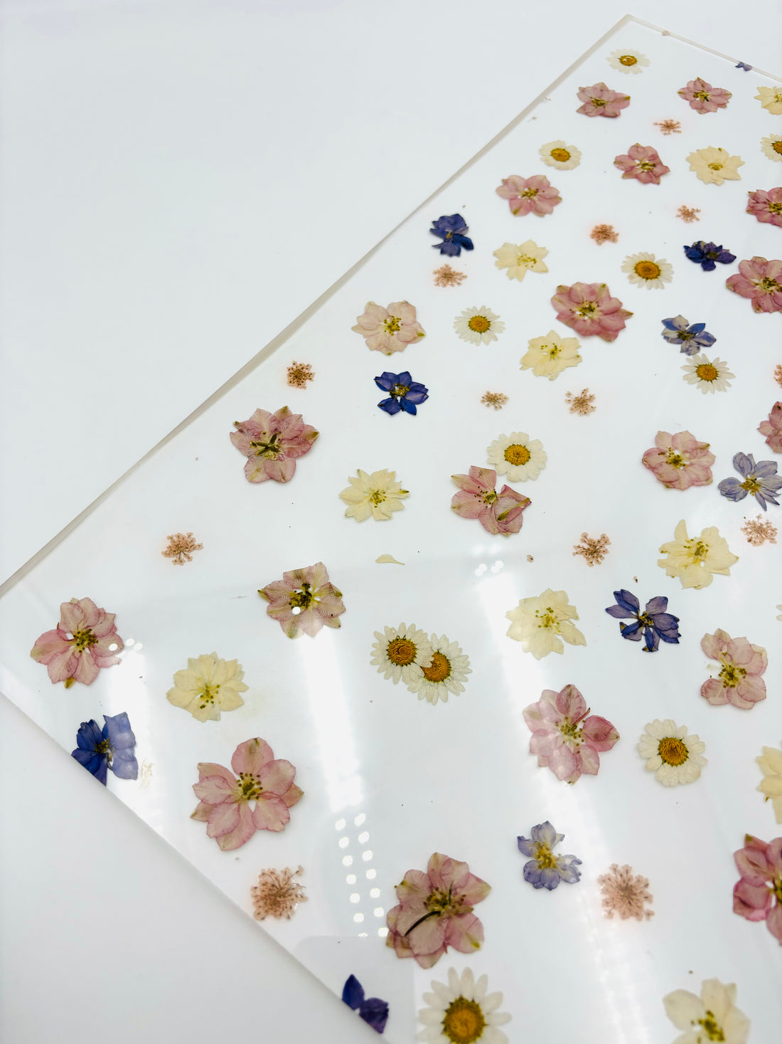 Pattern Acrylic Sheet - Floral