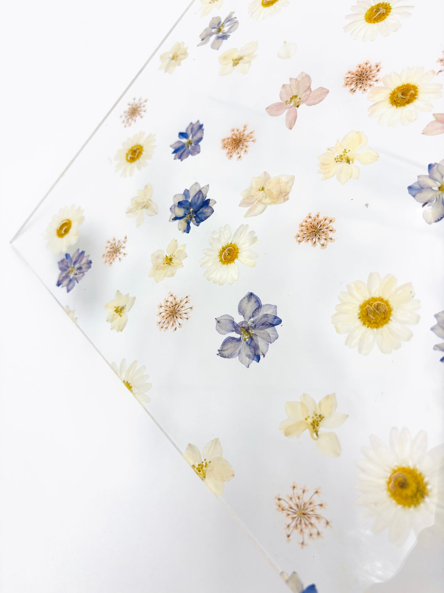 Pattern Acrylic Sheet - Floral